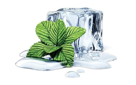 shutterstock_ice-cube-with-mint-isolated.jpg